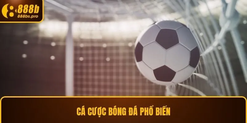 Cá cược bóng đá phổ biến ở 888B