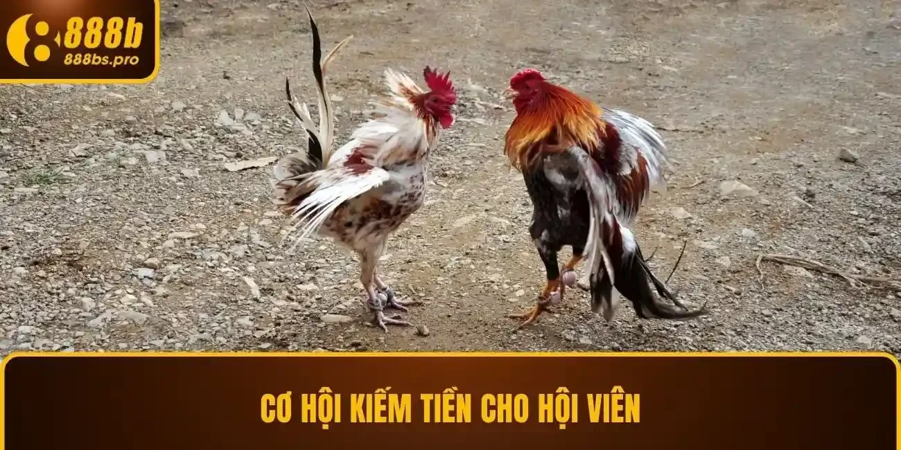 Cơ hội kiếm tiền cho hội viên